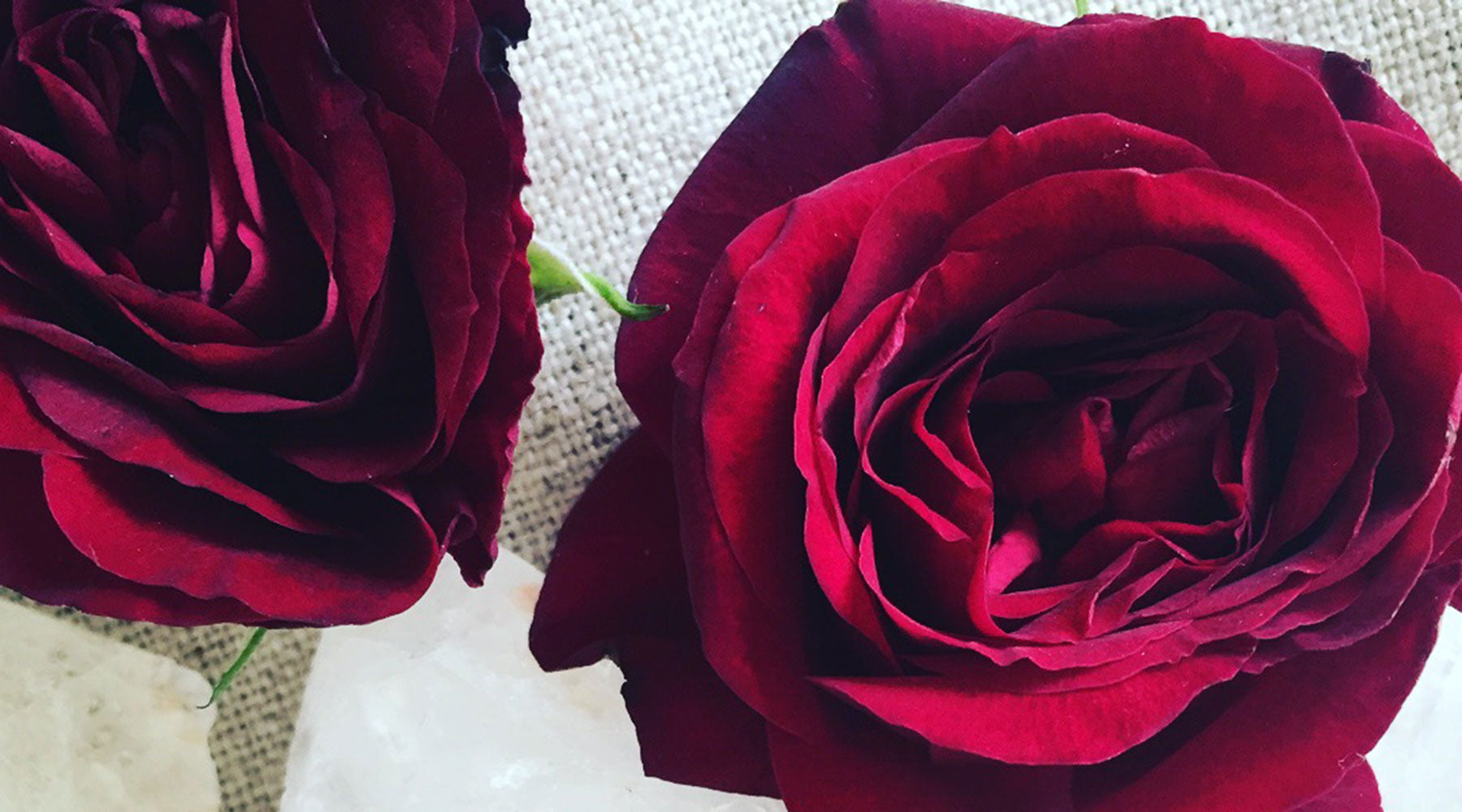 Learn how to incorporate the Flower Medicine of Roses to heal you heart chakra for mind, body, and spirit wellness.