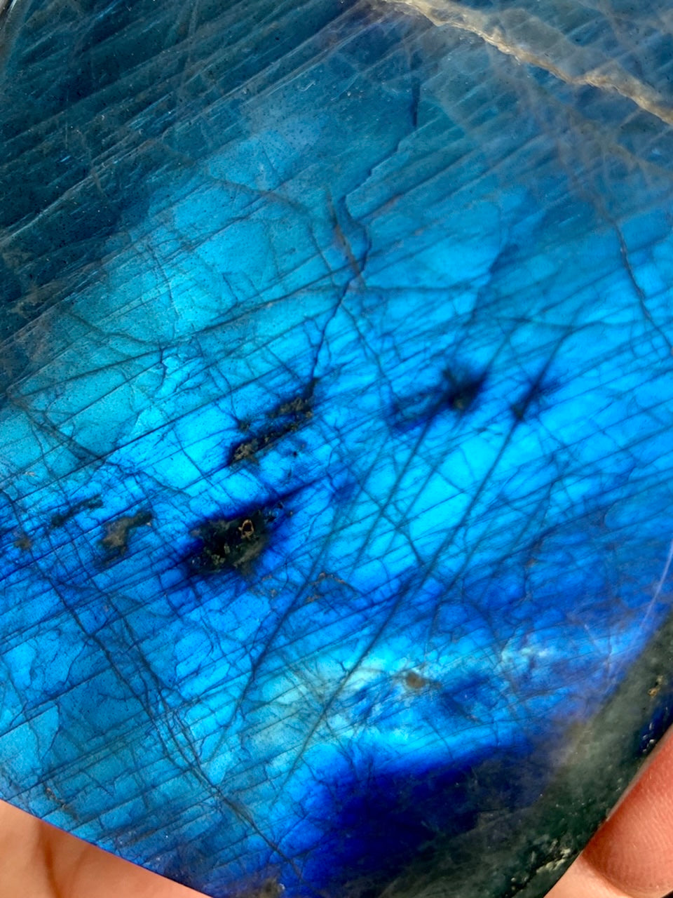 closeup of a brilliant polished blue labradorite specimen by Wild Mountain Crystals
