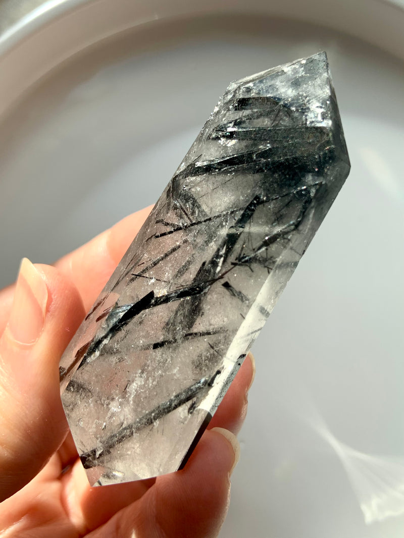 Dramatic Black Tourmaline in Quartz DT