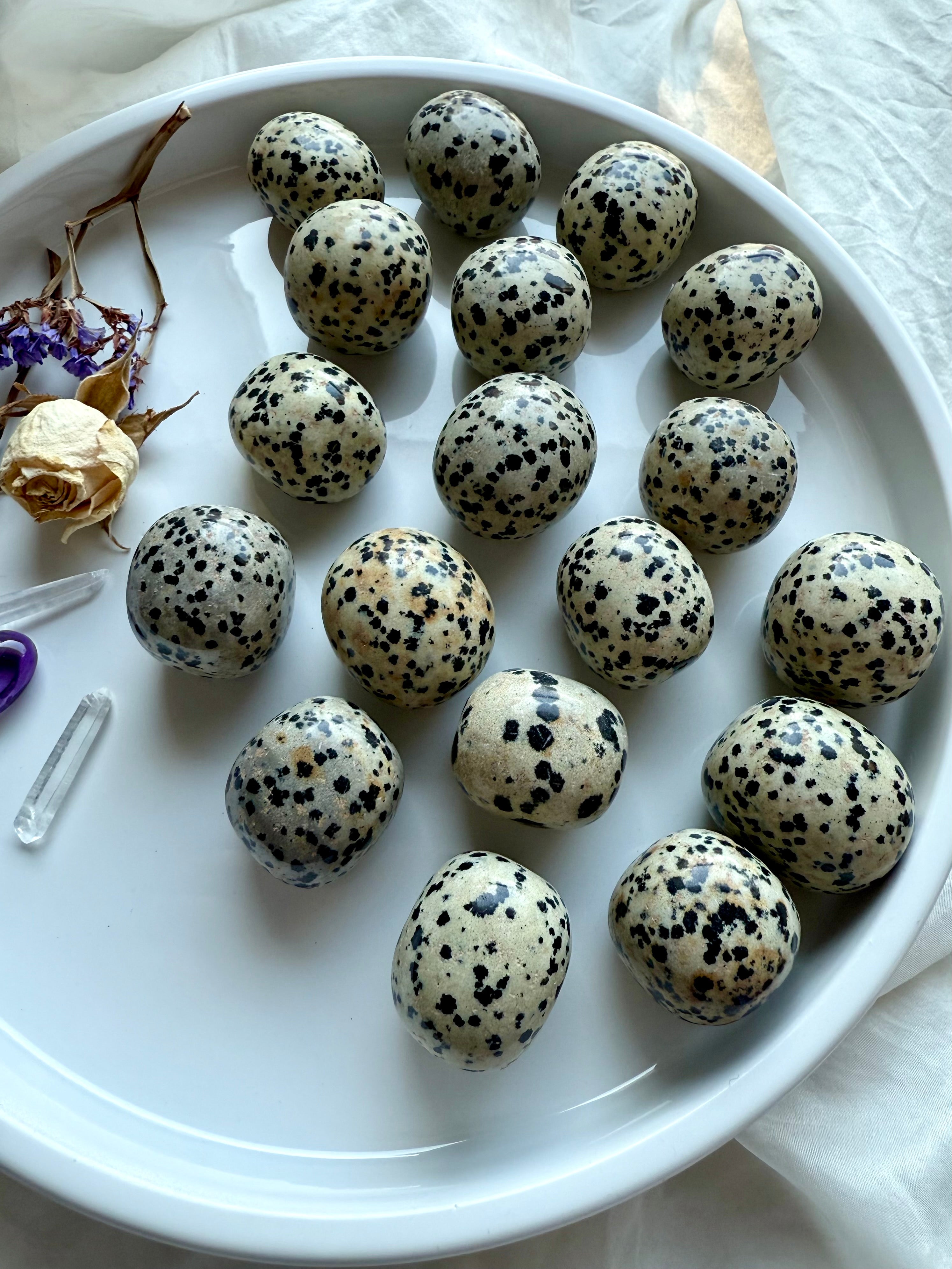 Plate of Dalmatian Jasper tumbled stones with black polka dot spots on beige matrix, crystal healing stones for grounding and joy