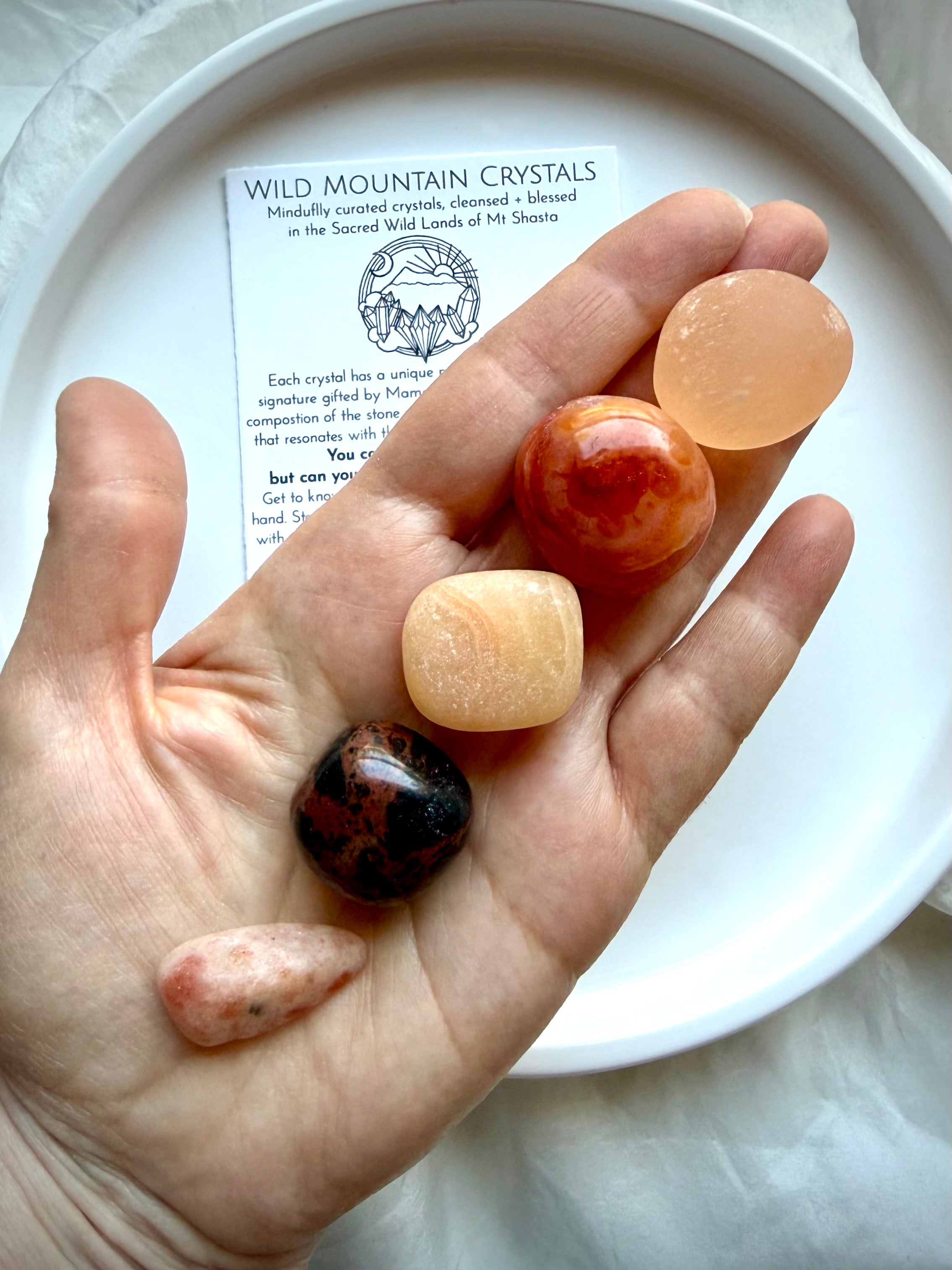 Sacral Chakra healing stones held in hand, crystal set for creativity, confidence, emotional balance, and vitality