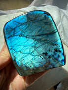 Electric blue Labradorite freeform held in hand showing vibrant aqua-blue flash and polished surface