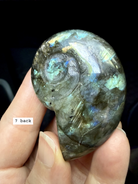 labradorite shell carving # 7 back view polished labradorite shell showing natural inclusions and structure