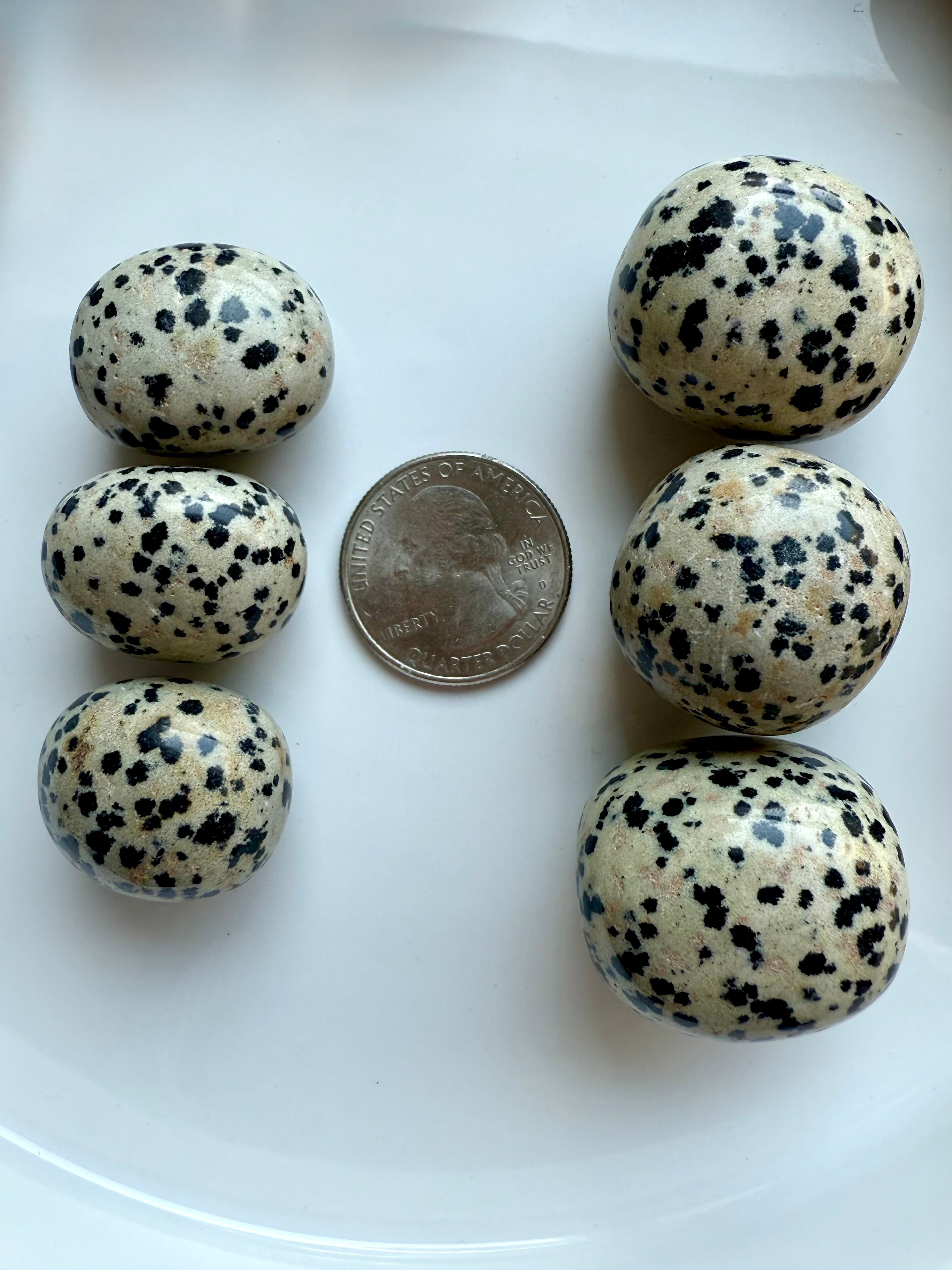 Size comparison of Dalmatian Jasper tumbles with a US quarter, black-spotted healing crystals for balance and protection