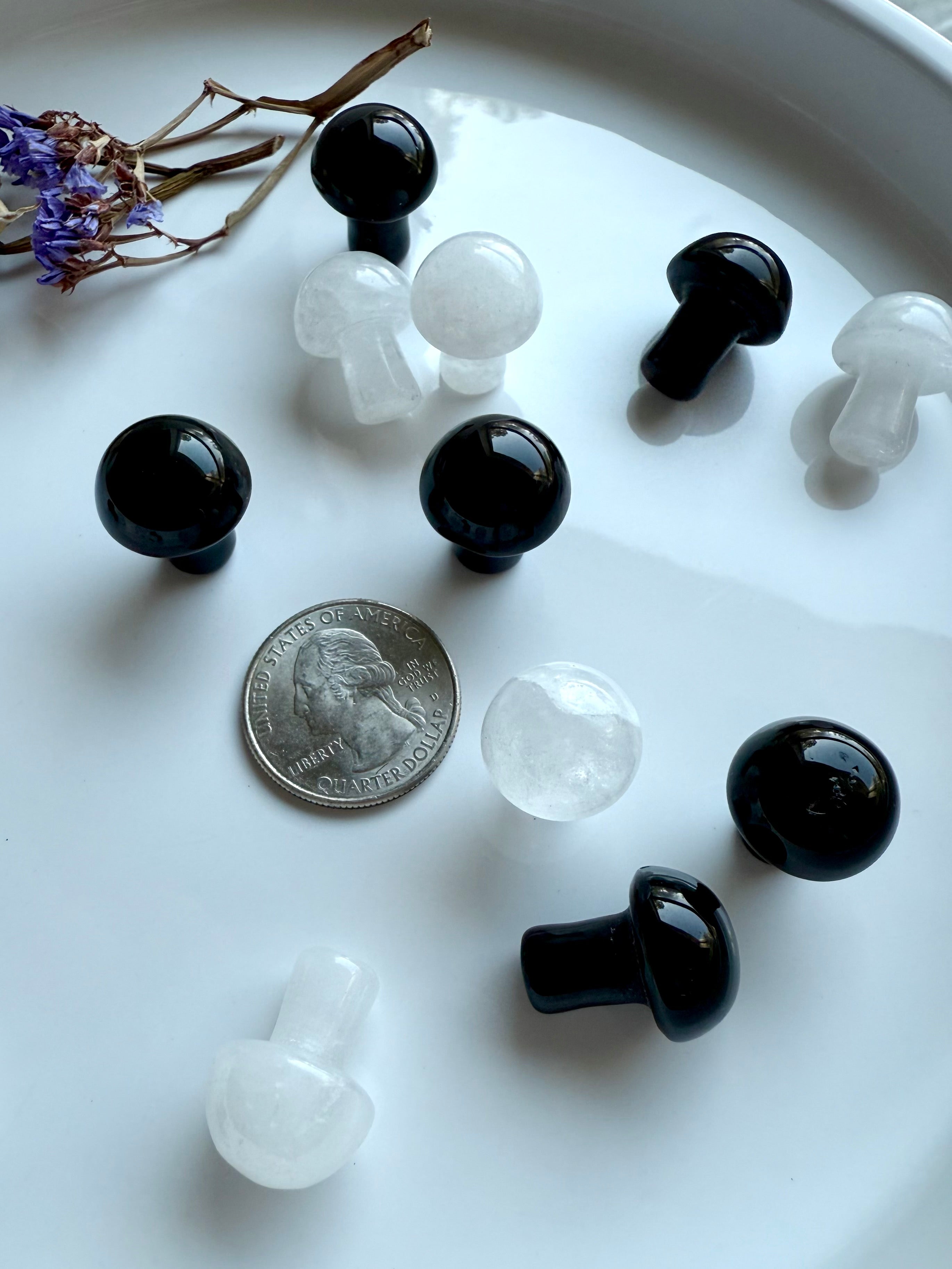 Crystal mushroom collection with US quarter for scale – Black Obsidian and White Quartz mini mushrooms for energy work and enchanted décor