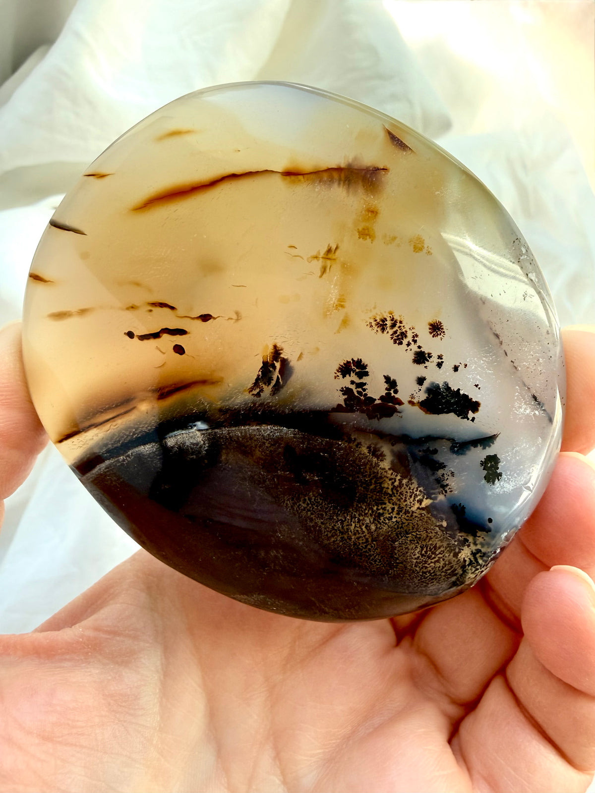 Dendritic Agate freeform held in hand, revealing delicate black dendritic formations and warm golden honey-colored layers