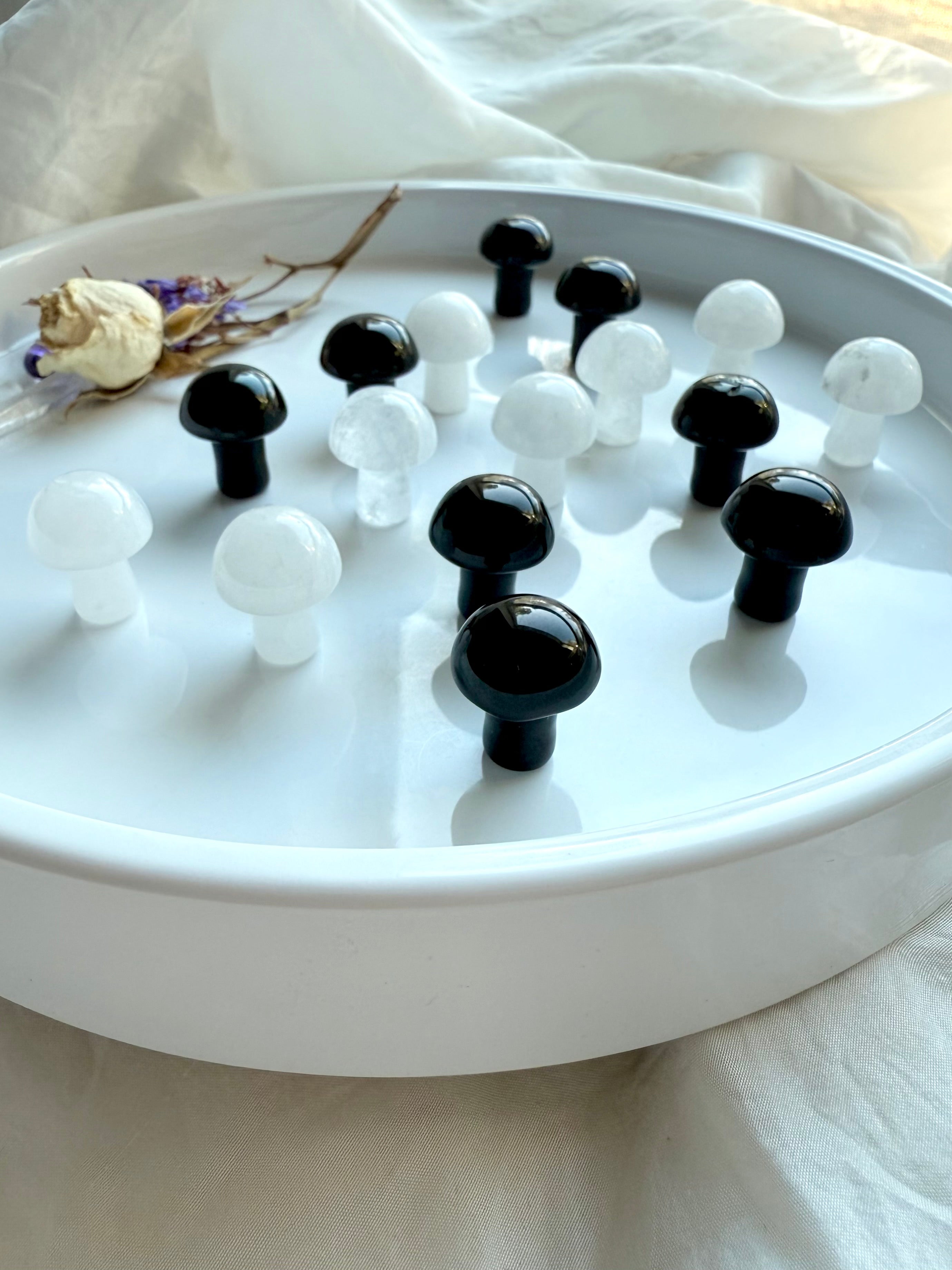 Obsidian and quartz mushroom carvings on white ceramic tray – small crystal mushrooms for grounding, clarity, and magical crystal rituals