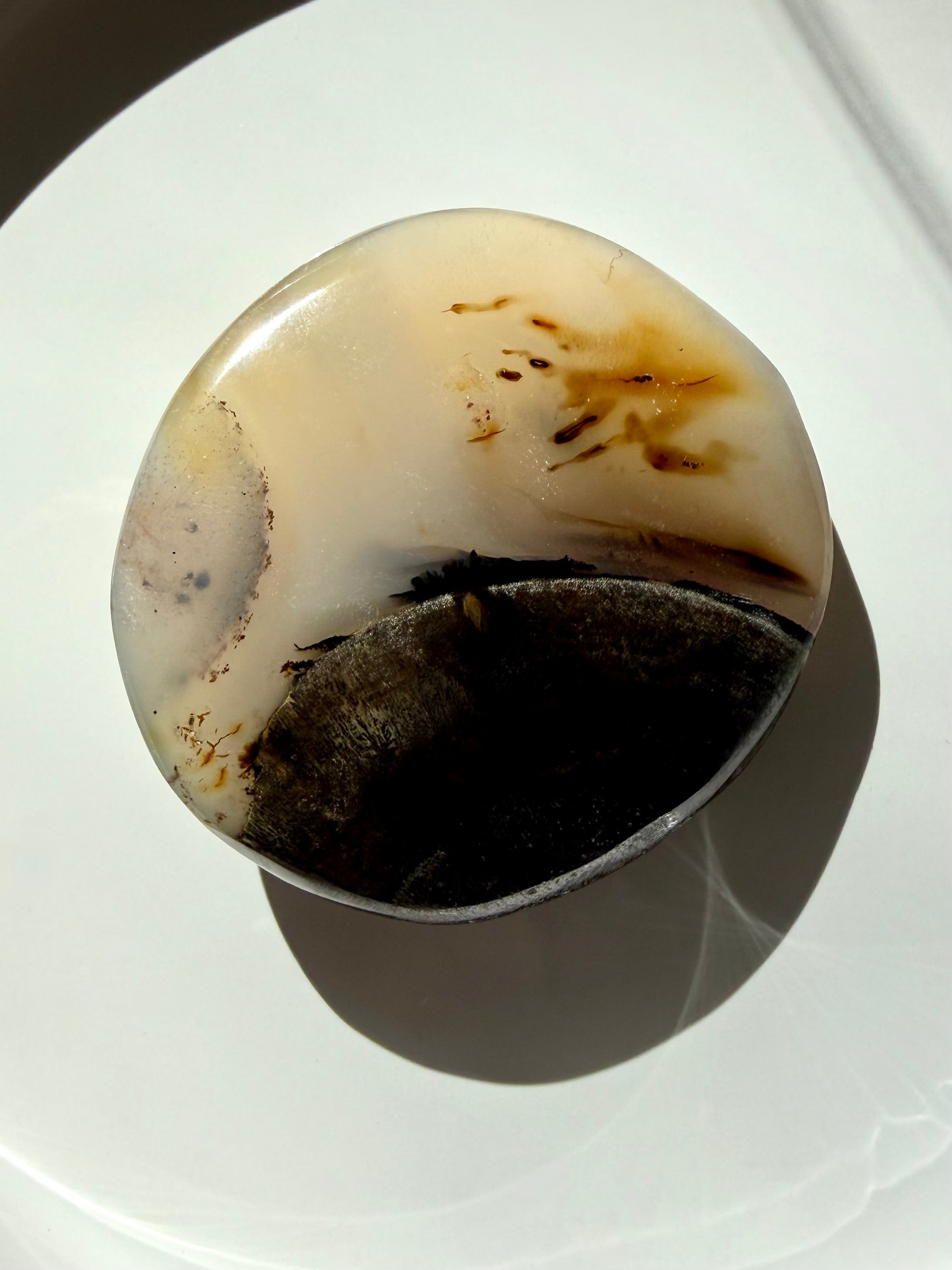 Dendritic Agate crystal freeform with golden banding, dark branching inclusions and earthy brown mineral formations