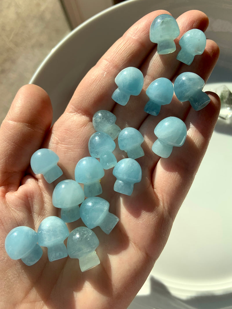 Mini Aquamarine Mushrooms