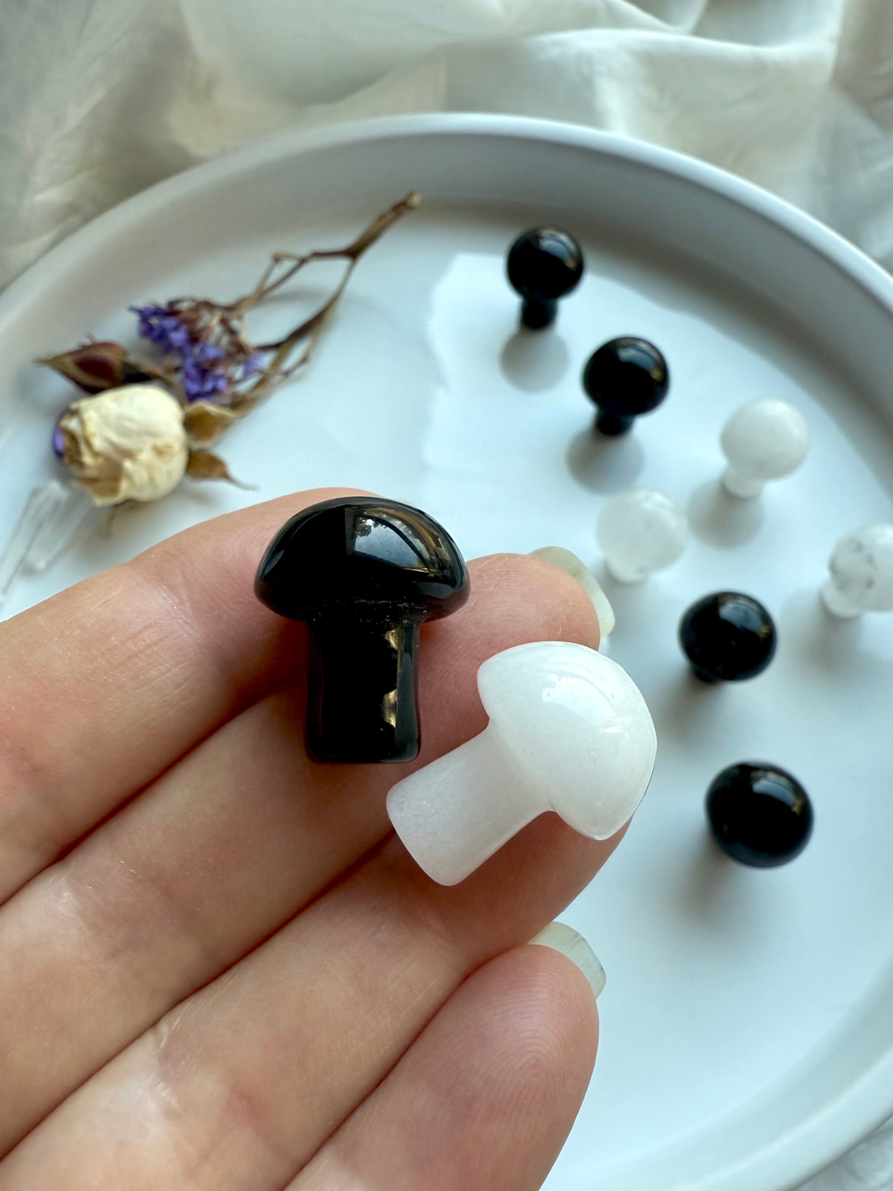 Duo of crystal mushrooms held over tray – one black obsidian and one white quartz – representing the balance of dark and light energies in ritual work