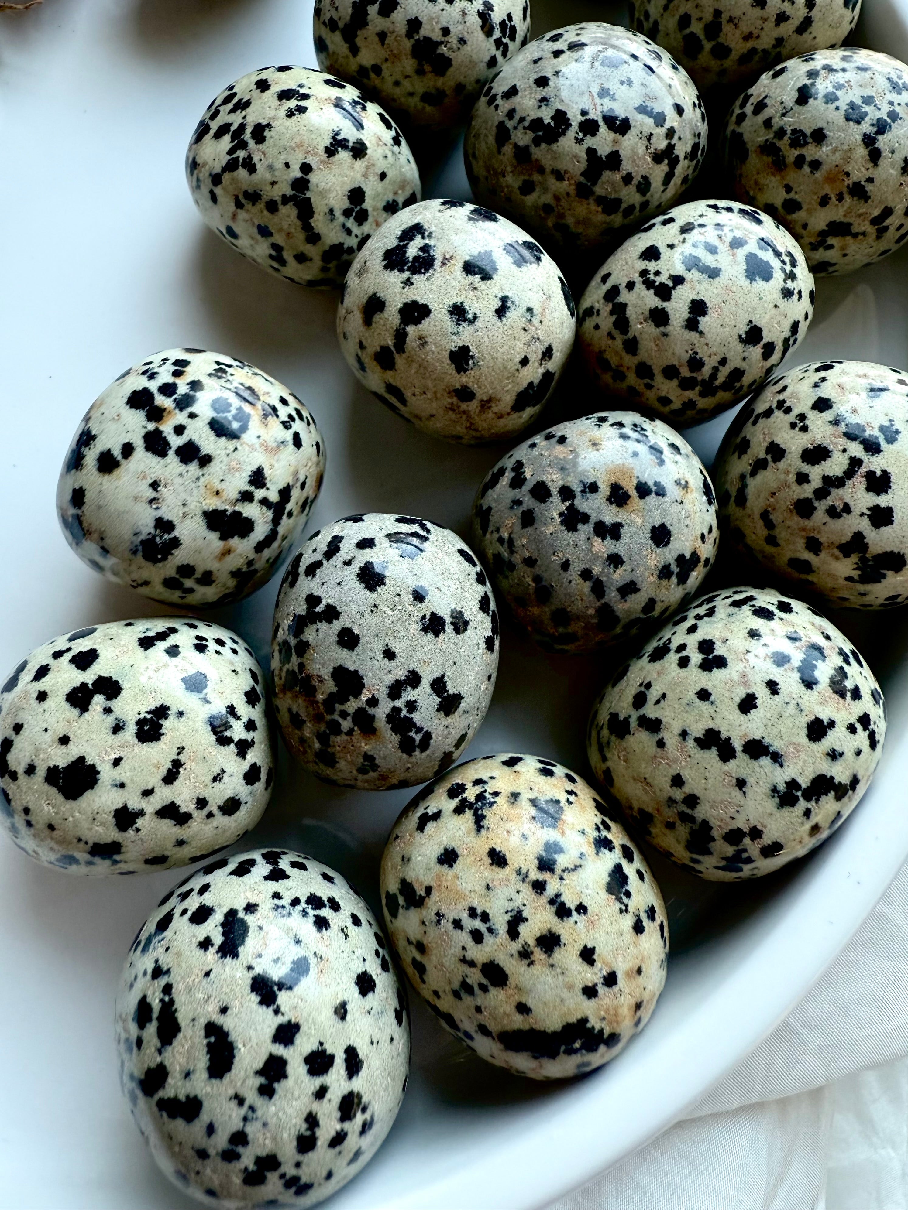 Dalmatian Jasper tumbled stones in a white dish, creamy beige to gray crystals with spotted black patterns for grounding energy