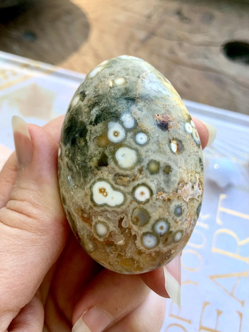 8th Vein Orbicular Ocean Jasper Palm Stones