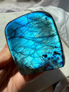 Blue Flash Labradorite freeform with vivid electric blue and aqua full-face labradorescence
