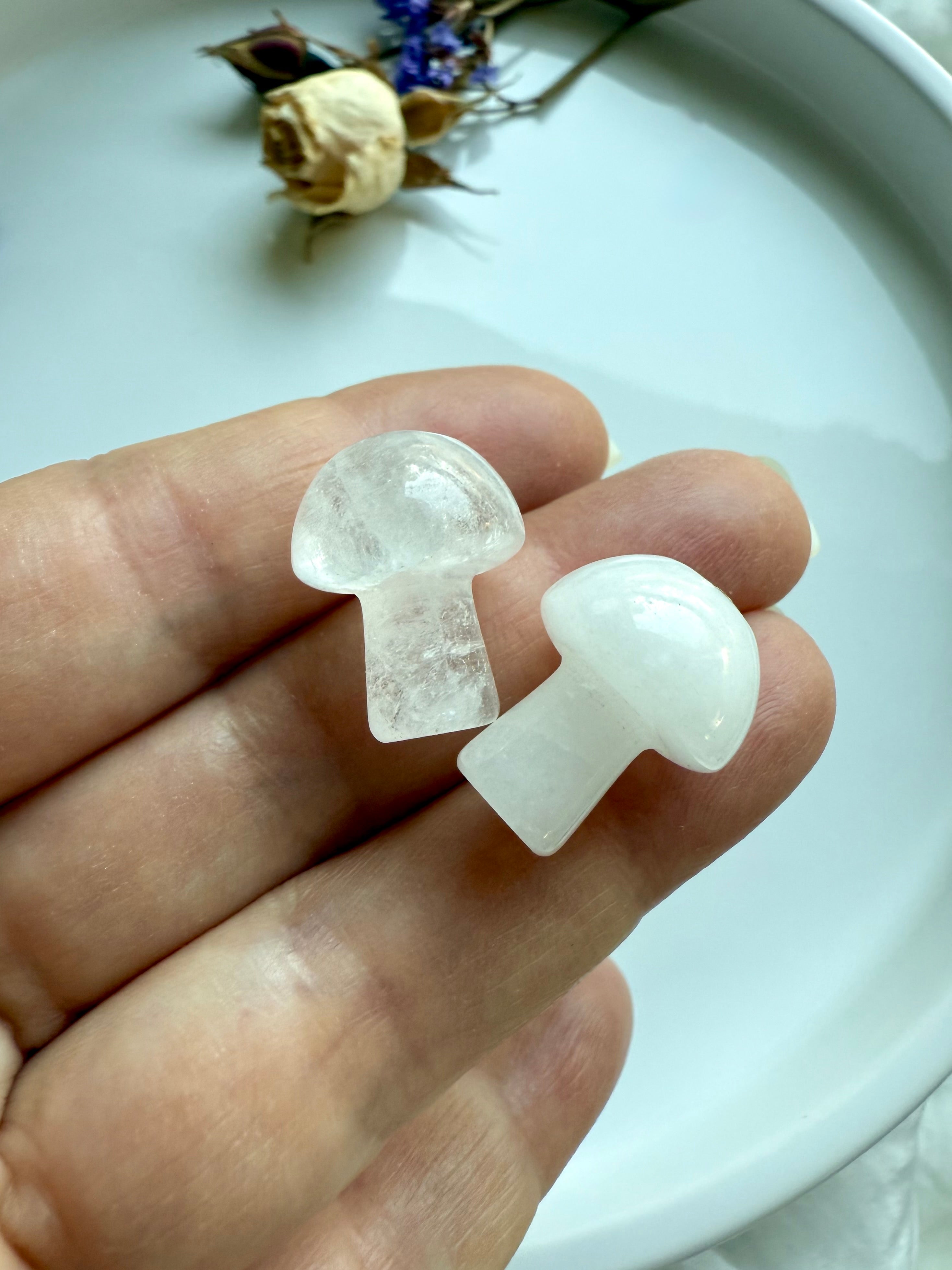 Close-up of two White Quartz crystal mushrooms held in hand – semi-opaque white mushrooms symbolizing purity, clarity, and crown chakra connection