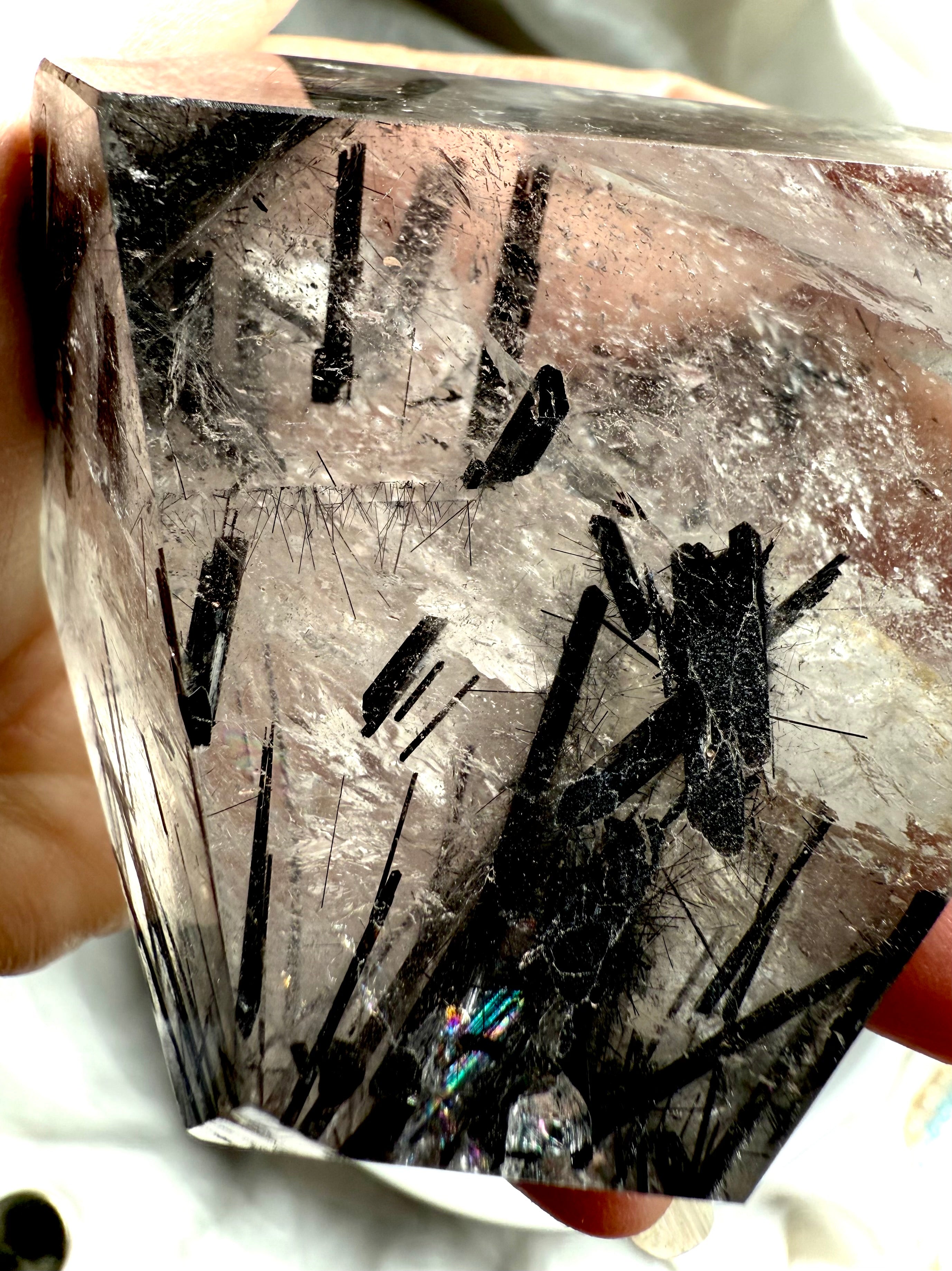 Macro detail of Black Tourmaline in Quartz freeform with dramatic black needle formations and rainbow inclusions