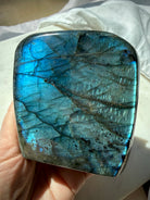 Full flash blue Labradorite crystal with brilliant labradorescence and dark contrasting mineral patterns