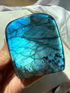 Polished Labradorite freeform with strong electric blue labradorescence shifting across the front