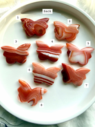 Numbered Carnelian butterfly crystal carvings shown together for choose-your-own selection, featuring vibrant banded agate patterns in warm red, orange, and amber tones.