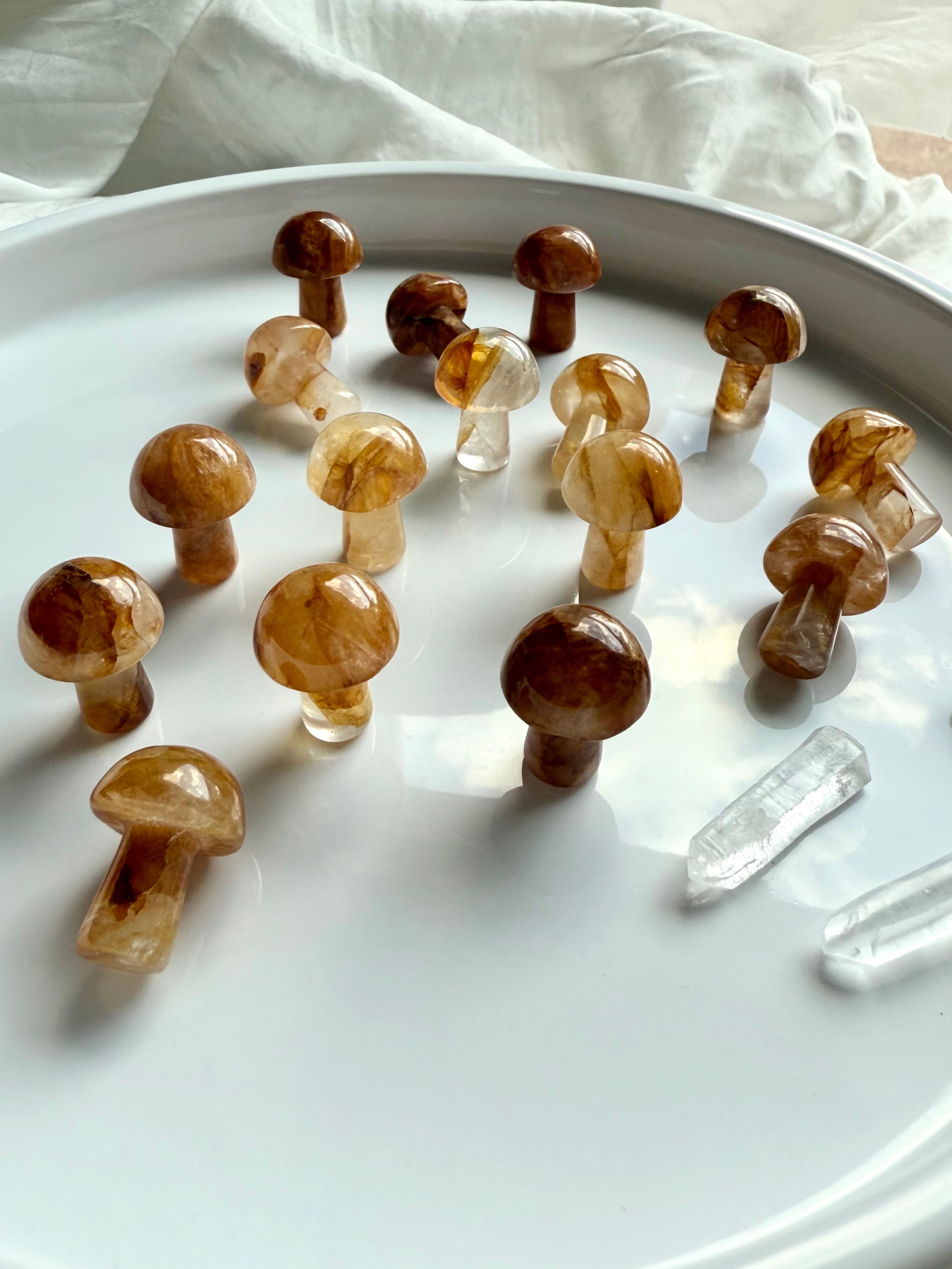 Golden Healer Quartz crystal mushroom carvings on white tray — natural golden quartz stones polished into mini mushrooms for chakra alignment and healing.