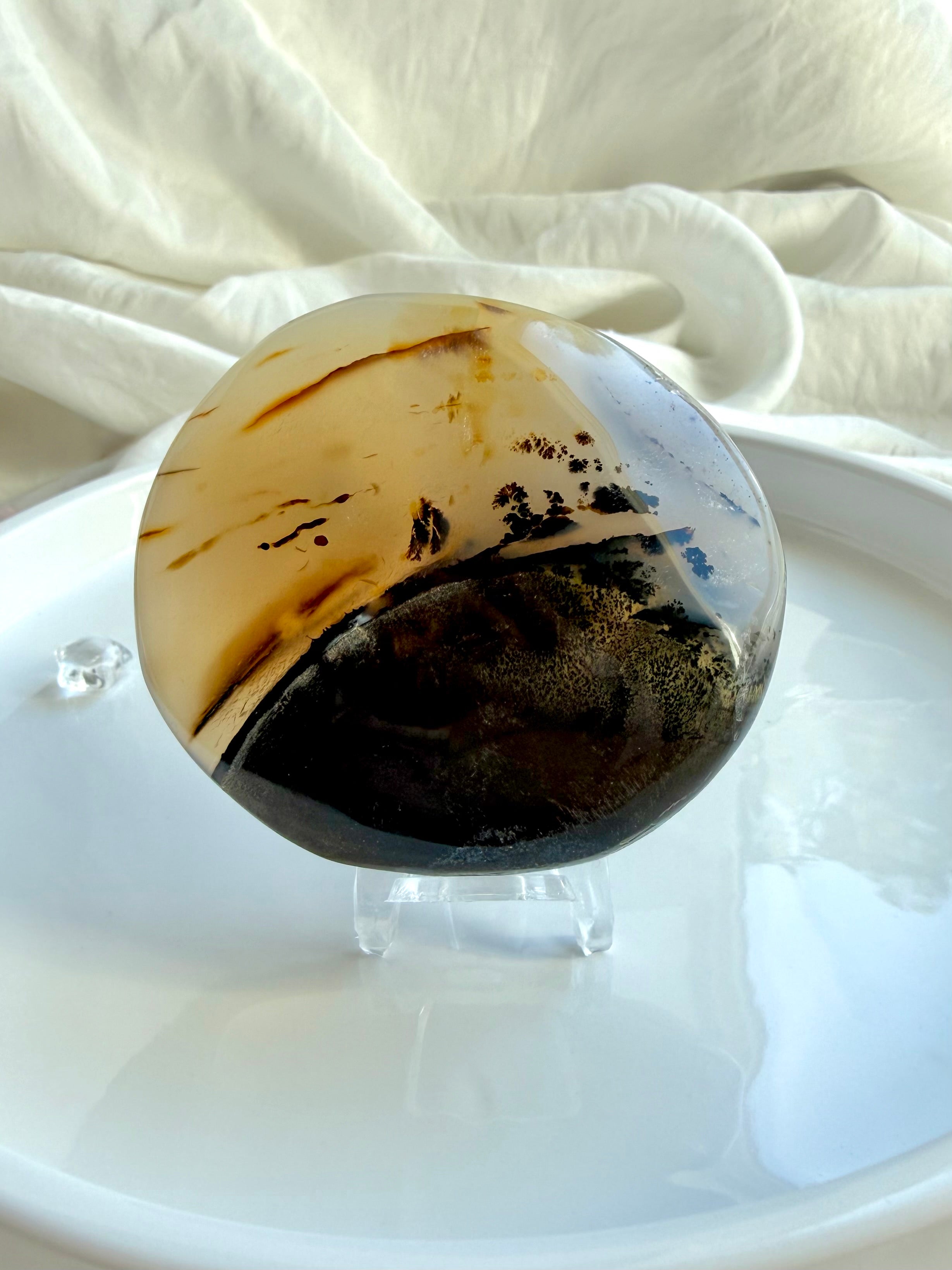 Polished Dendritic Agate crystal displayed upright, featuring cream and amber banding above a deep smoky brown base
