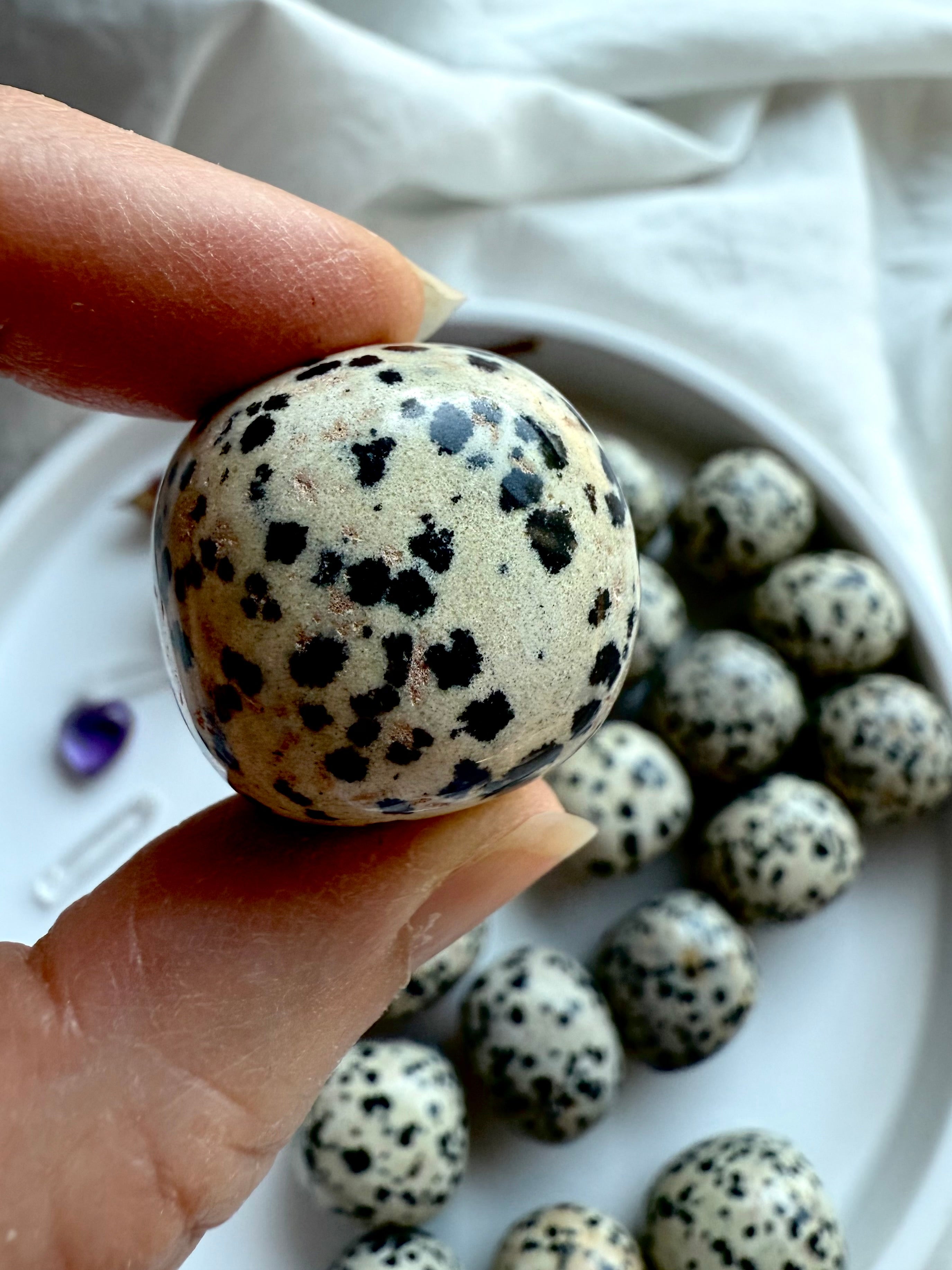 Dalmatian Jasper tumble crystal closeup, natural spotted stone with grounding and protective healing properties