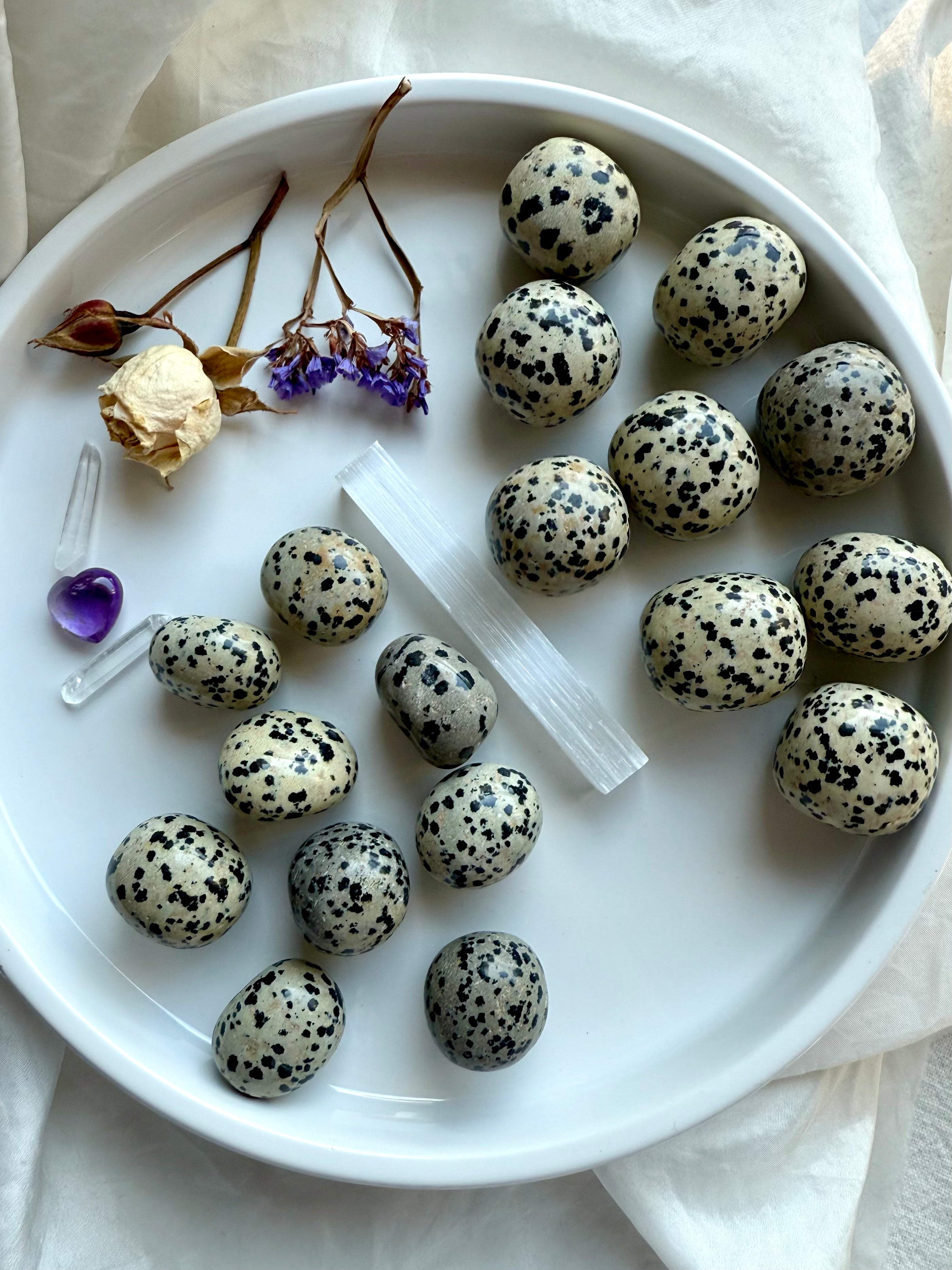 Group of Dalmatian Jasper crystals in two sizes shown with selenite stick and flowers, tumbled stones for chakra healing