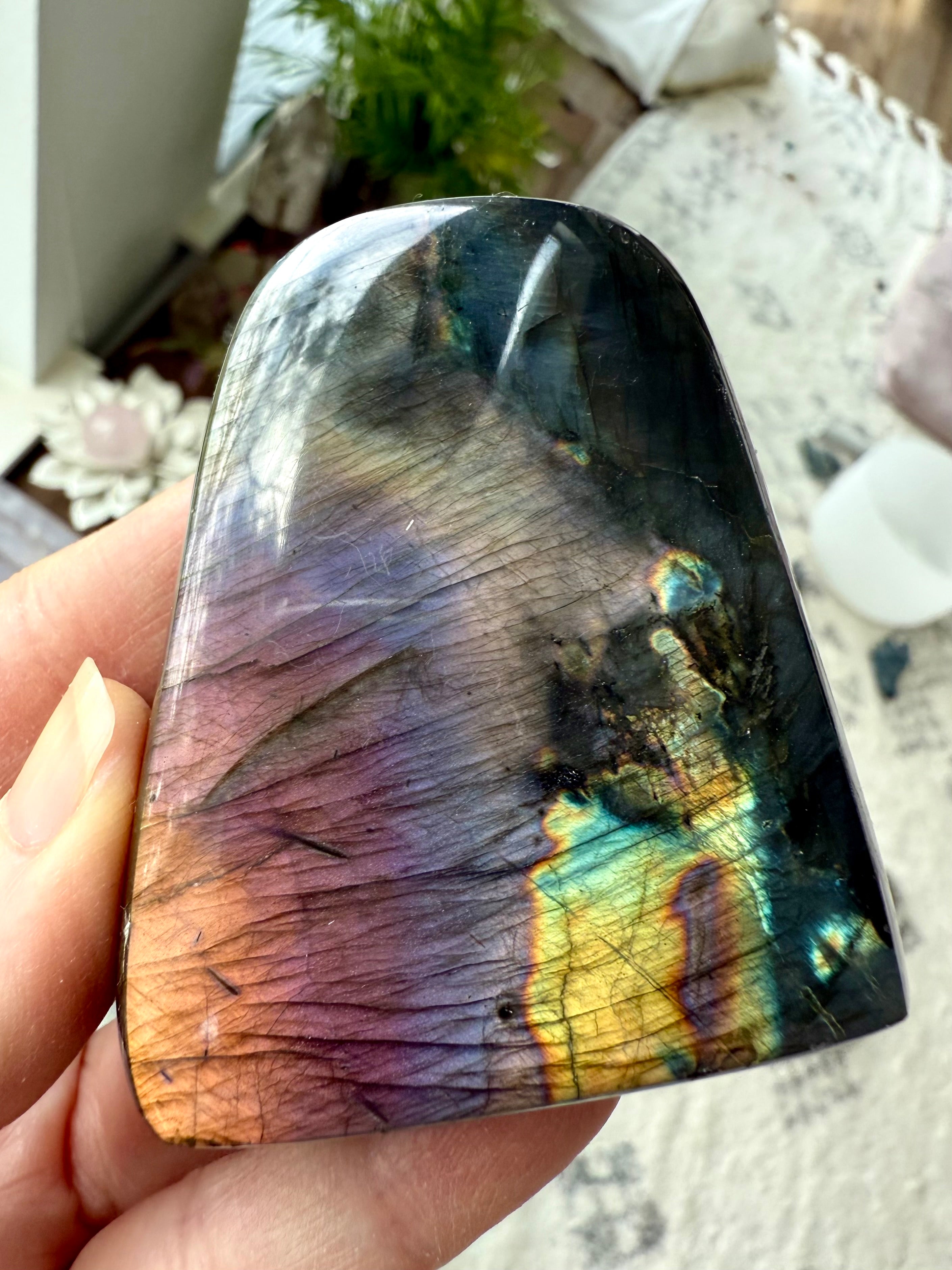 A flashy Sunset Labradorite Freeform Crystal with a gorgeous rainbow spectrum of colors