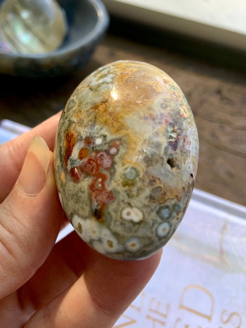 8th Vein Orbicular Ocean Jasper Palm Stones