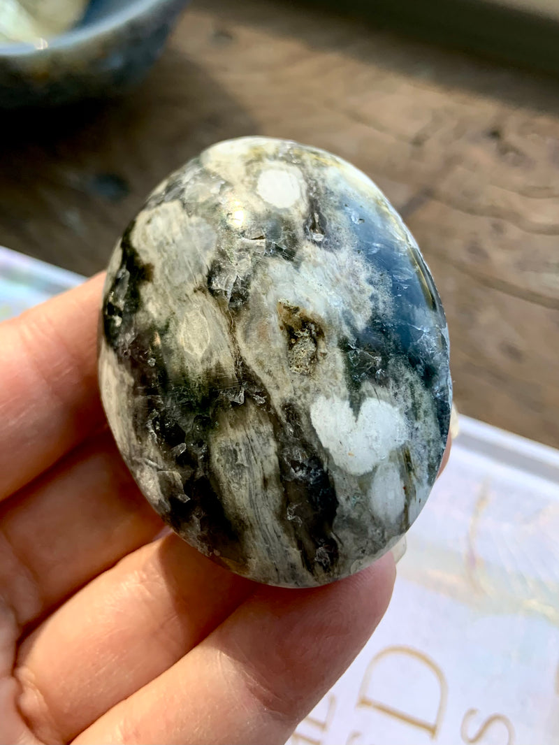 8th Vein Orbicular Ocean Jasper Palm Stones