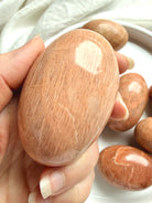 Collection of large Peach Moonstone palm stones with rounded polished oval shapes and natural color variation