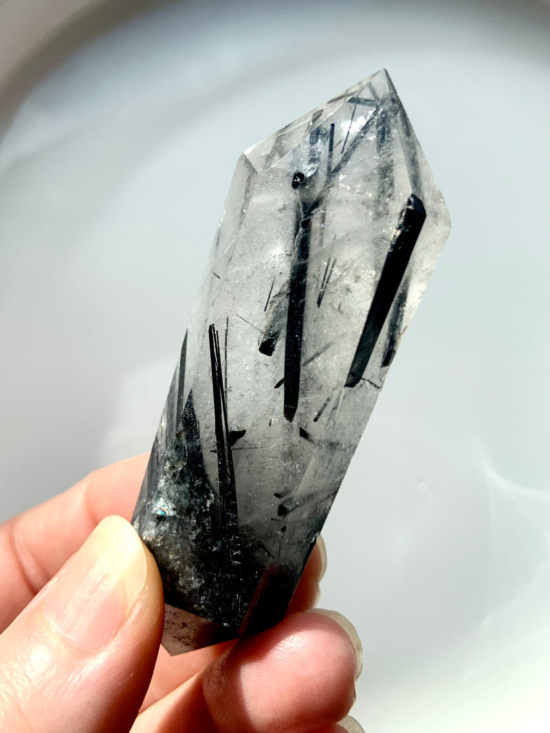 Dramatic Black Tourmaline in Quartz DT