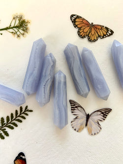 Blue Lace Agate Mini DT's