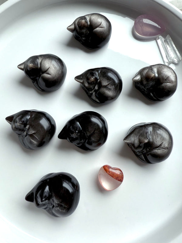 An array of Silver Sheen Obsidian Sleeping Cat Carvings on a white plate