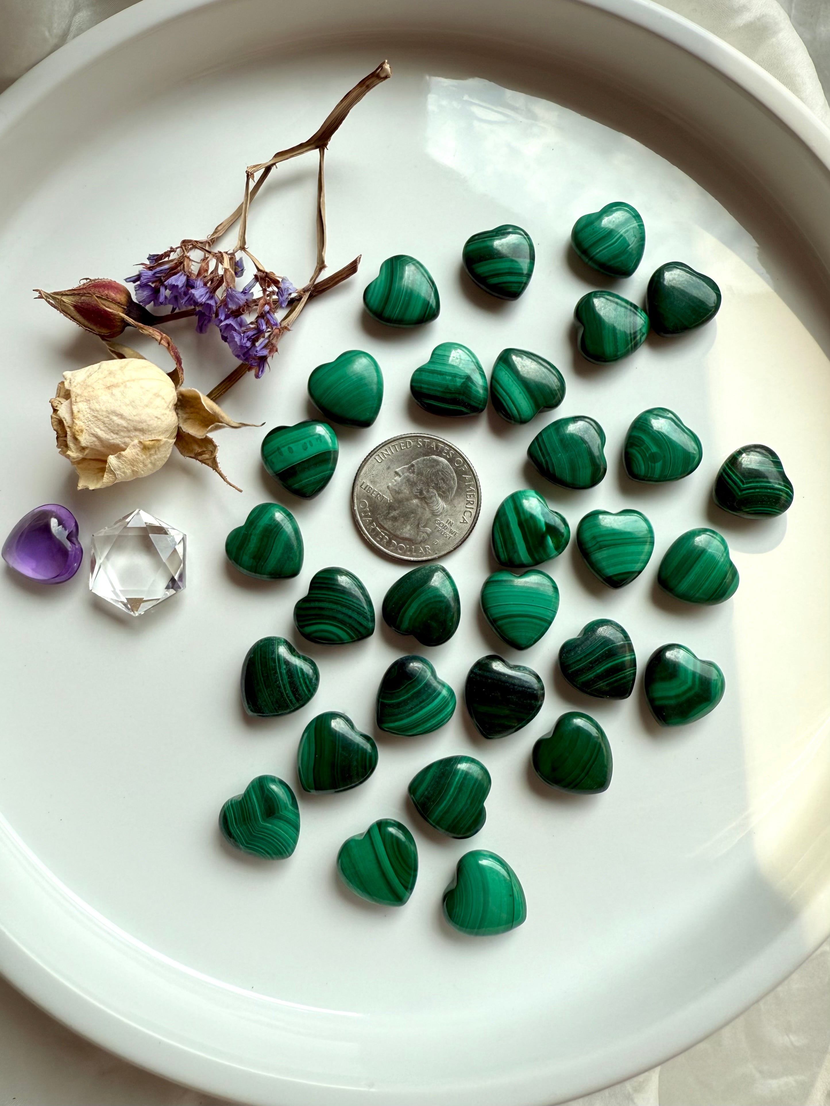 Malachite hearts arranged with a US quarter for size reference, surrounded by dried flowers & crystals