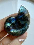 labradorite shell carving # 8 back view natural labradorite crystal shell with earthy patterning