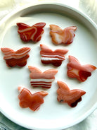 Choose your own Carnelian butterfly crystal carvings shown together, featuring vibrant banded agate patterns in warm red, orange, and amber tones.