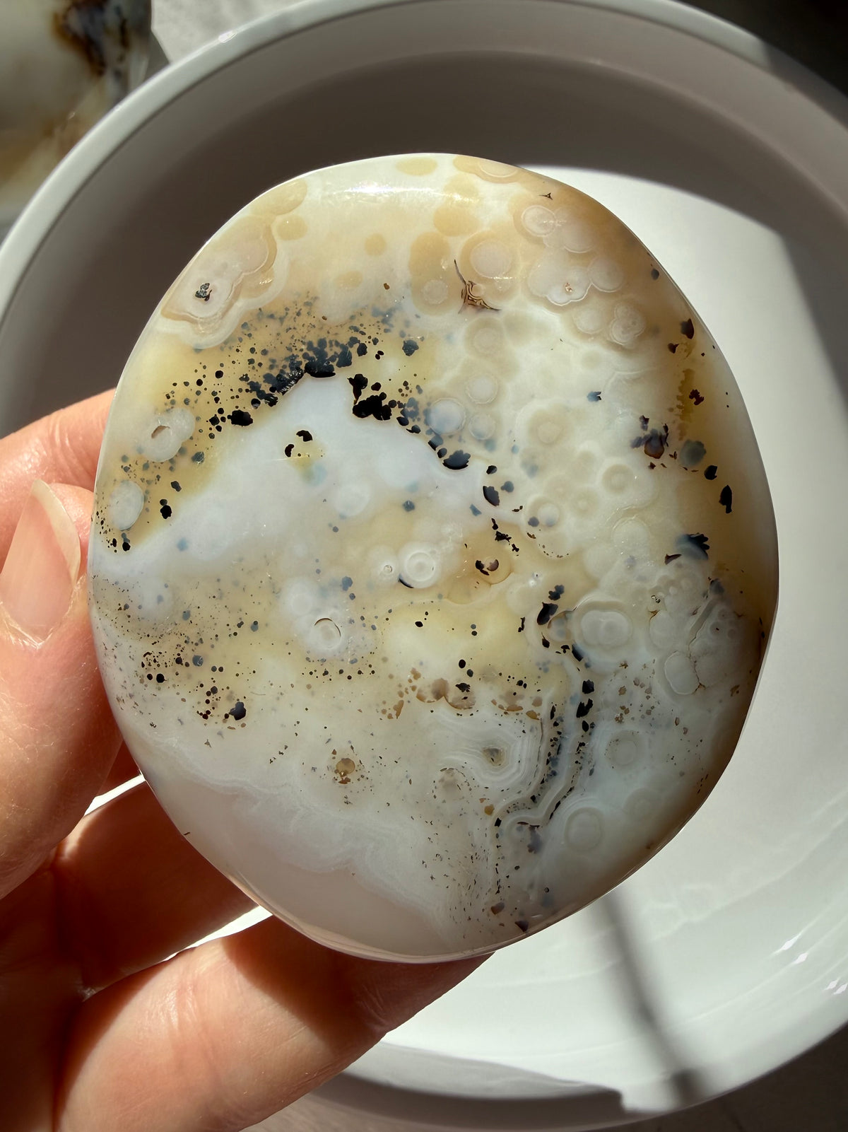 Dendritic Agate freeform crystal with creamy ivory tones, black tree-like inclusions and natural orbicular patterns