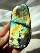 Labradorite freeform with brilliant golden yellow, aqua, and green labradorescence