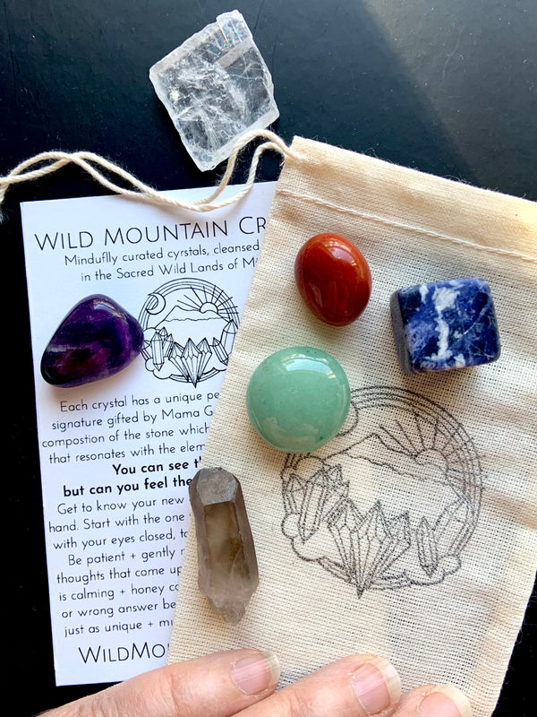 Beginner Crystal Set of six different stones including purple amethyst, blue sodalite, green aventurine, red jasper, optical calcite, and smokey quartz with travel pouch and info