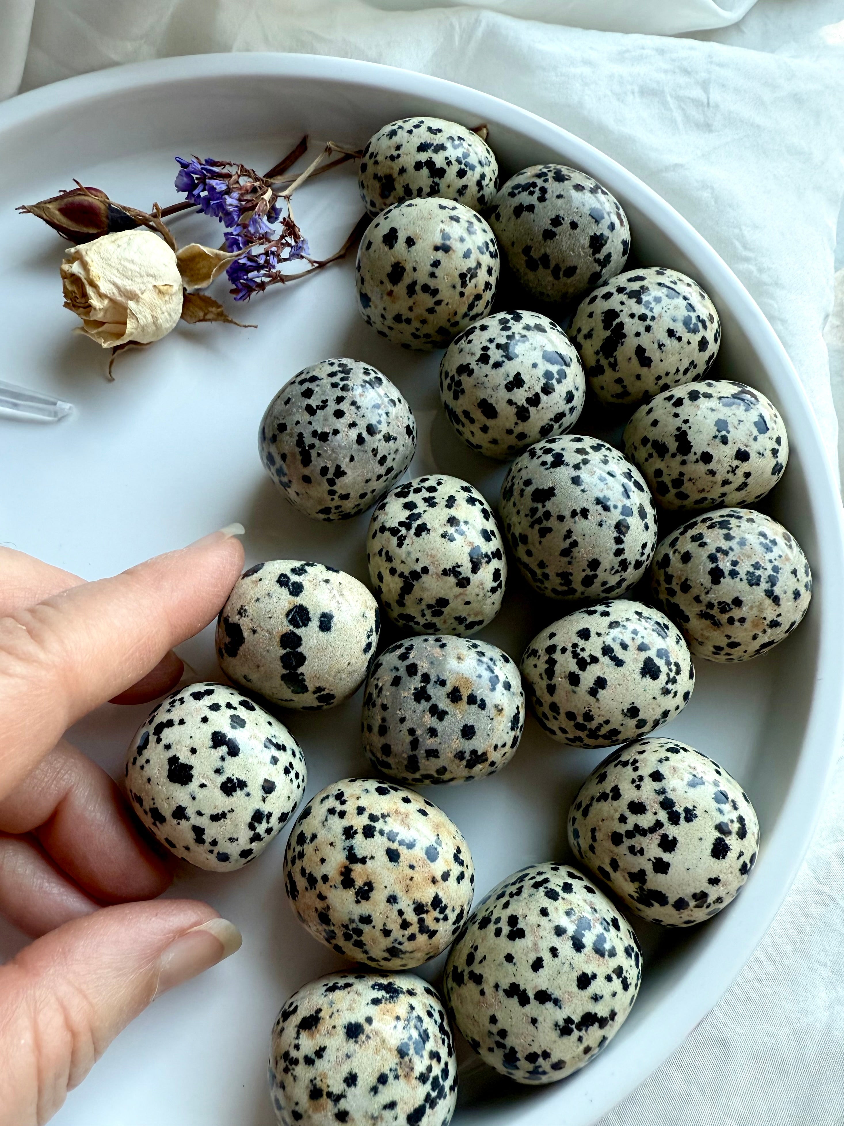 Polished Dalmatian Jasper tumbles arranged in a dish, speckled crystals for emotional balance and playful energy