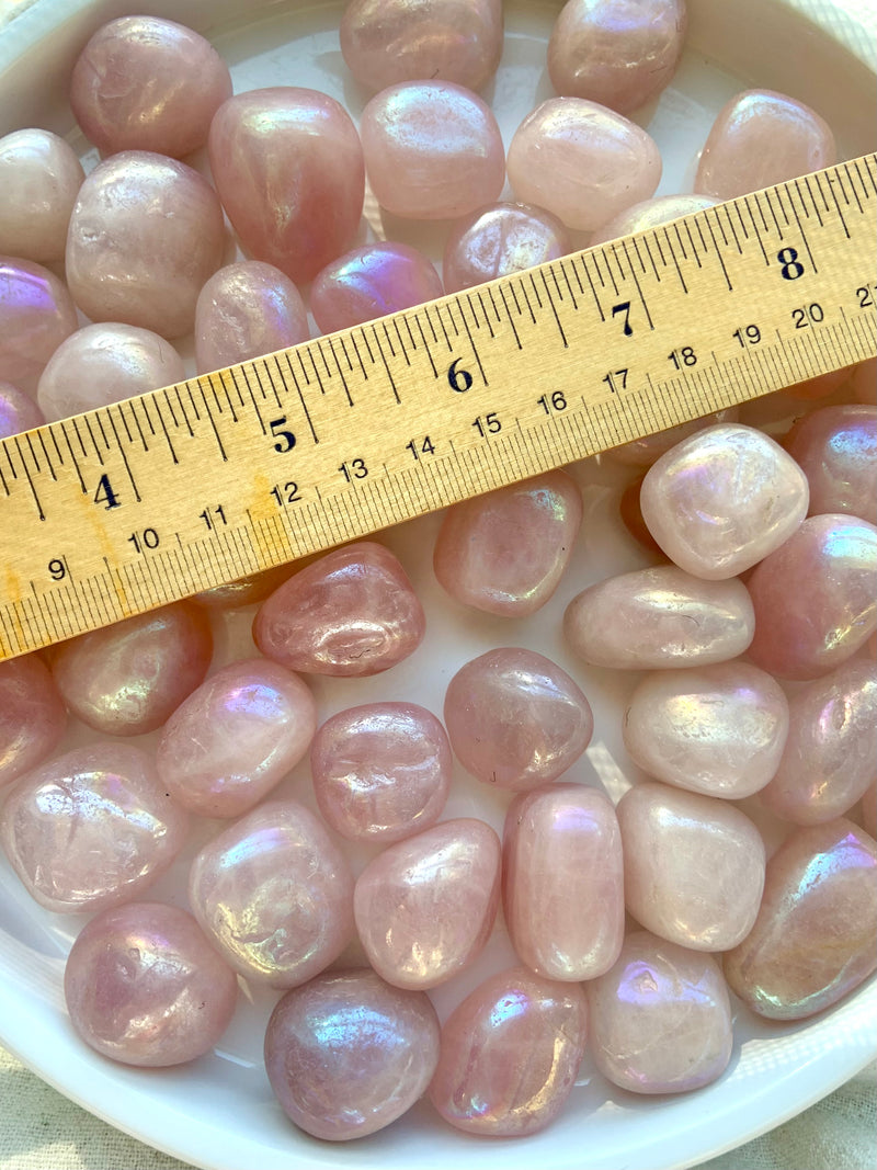 Pink Angel Aura Rose Quartz Tumbles shown on a white plate with a ruler for size reference.