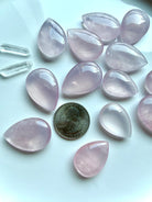 Rose Quartz teardrops with translucent blush pink color, internal veiling and luminous Girasol character, shown with a US quarter for scale