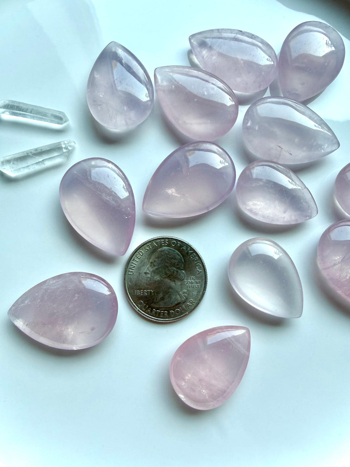 Rose Quartz teardrops with translucent blush pink color, internal veiling and luminous Girasol character, shown with a US quarter for scale