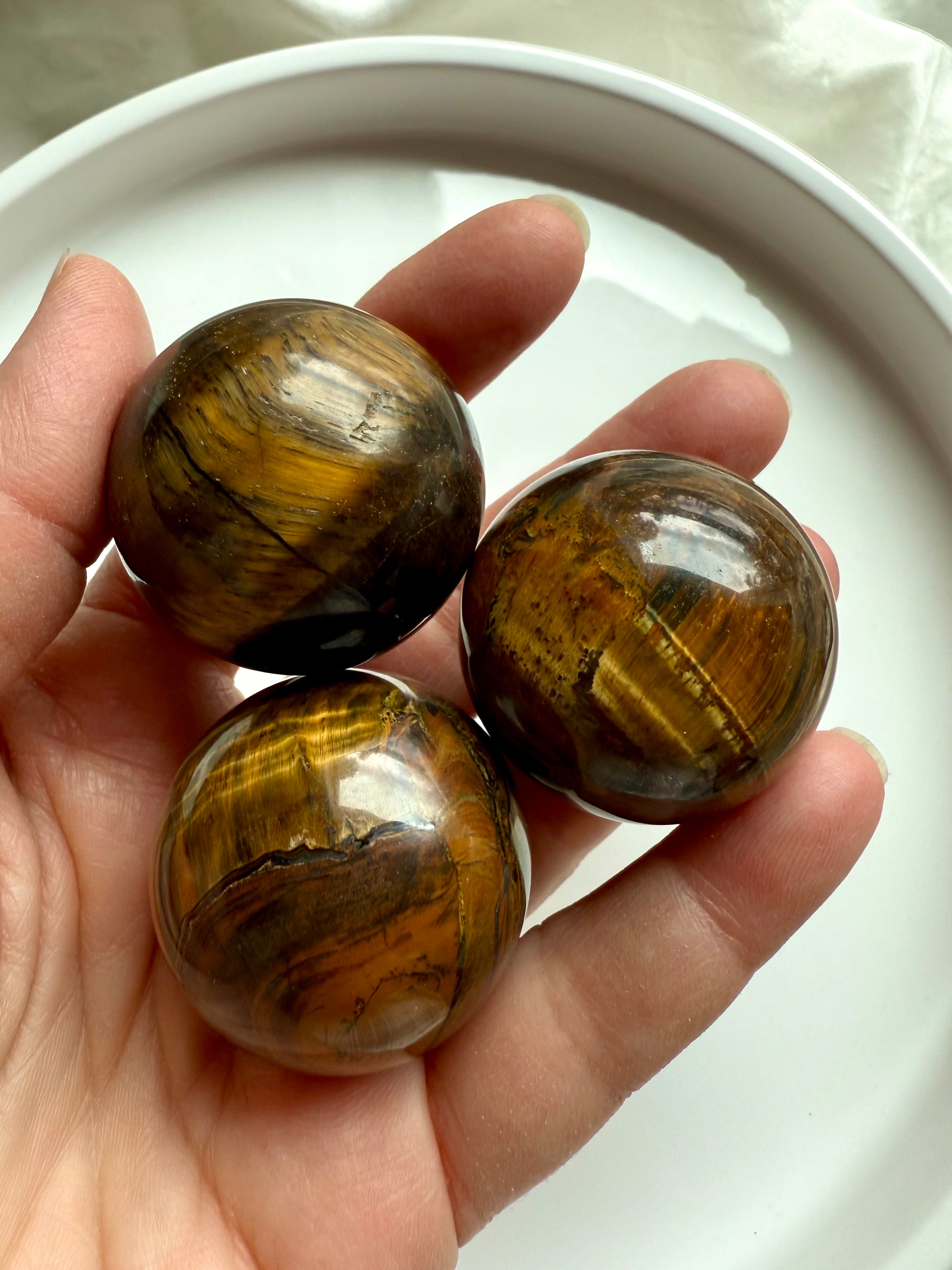 Hand holding three polished Tiger’s Eye spheres with golden brown shimmer — Root Chakra healing crystals