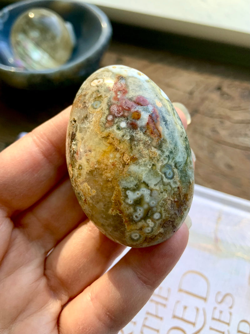 8th Vein Orbicular Ocean Jasper Palm Stones