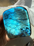 Full flash Labradorite freeform showing brilliant aqua and electric blue labradorescence in sunlight