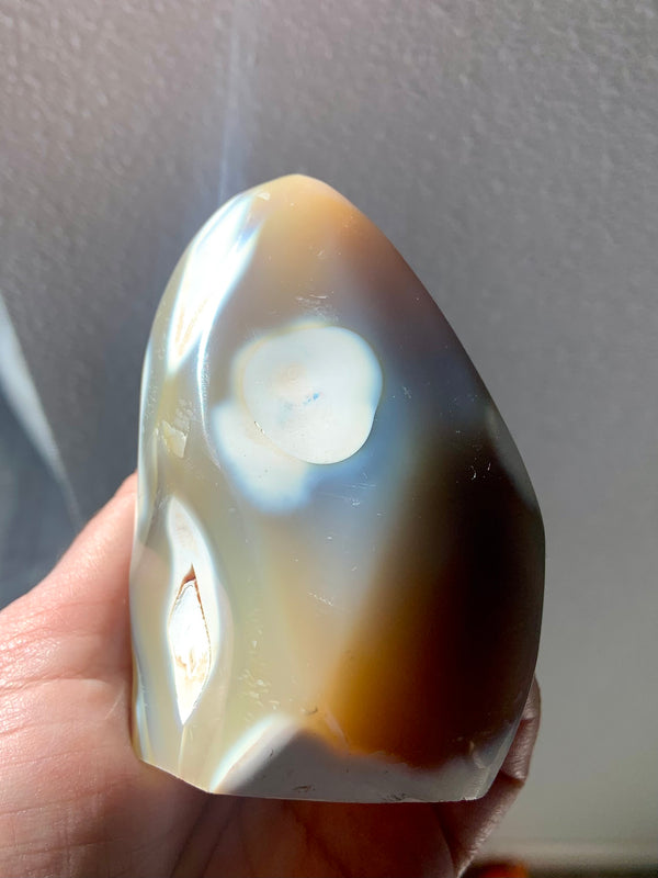 Orca Agate Carnelian Freeform with Tree Ring