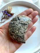 Orbicular Ocean Jasper crescent moon held in hand showing detailed gray and cream bullseye patterns and natural druzy