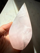 Backlit Mangano Calcite flame crystal revealing soft translucency, internal formations and luminous pink glow