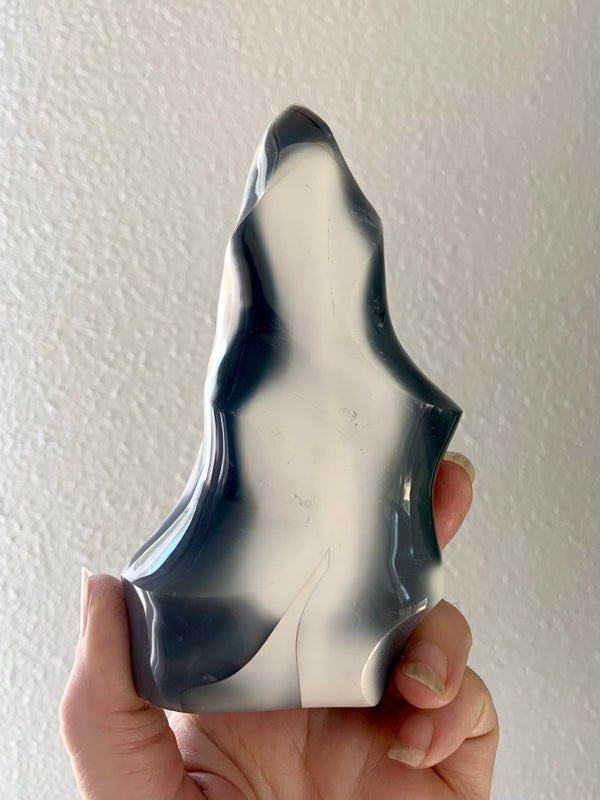 Big Orca Agate Flame with a beautiful white flame pattern surrounded by dark gray agate held up in indirect natural light against a white textured wall